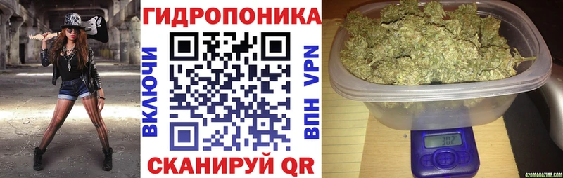 Бошки марихуана OG Kush  Нязепетровск 